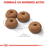 Royal Canin Royal Canin Medium Adult Sterilised - imagine 2