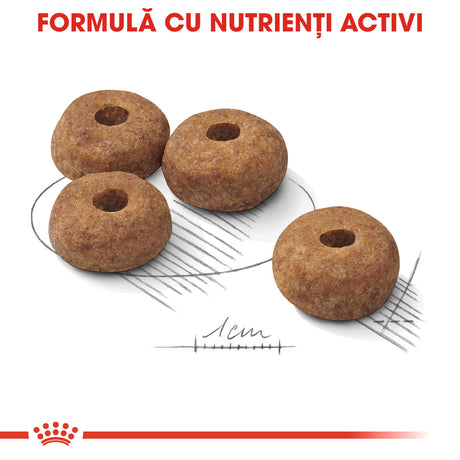 Royal Canin Royal Canin Medium Adult Sterilised - imagine 2