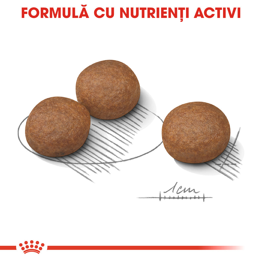 Royal Canin Royal Canin Medium Digestive Care - imagine 2