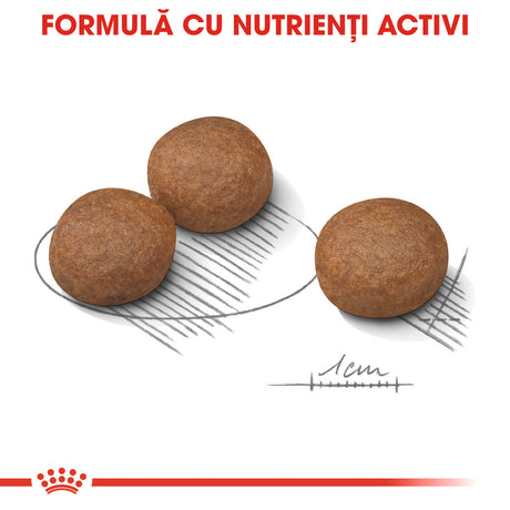 Royal Canin Royal Canin Medium Digestive Care - imagine 2