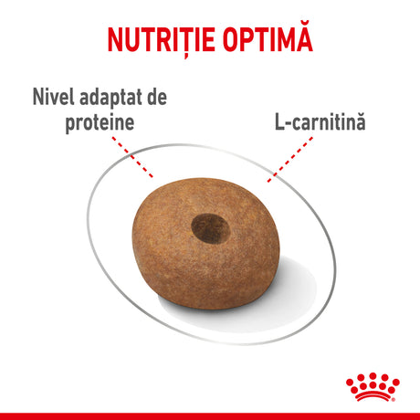 Royal Canin Royal Canin Medium Light Weight Care - imagine 2