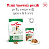 Royal Canin Royal Canin Mini Adult 8+ - imagine 2
