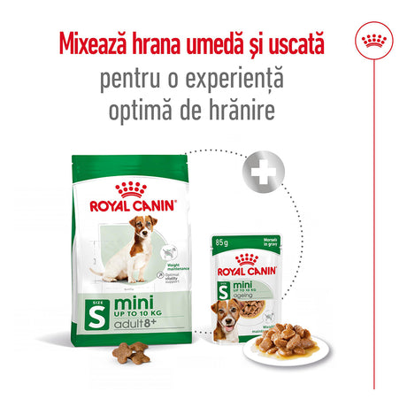 Royal Canin Royal Canin Mini Adult 8+ - imagine 2