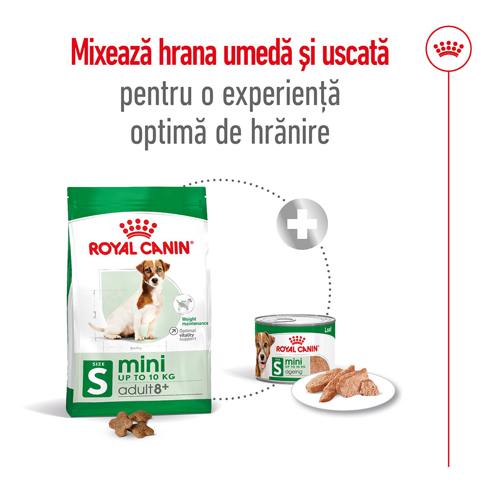 Royal Canin Royal Canin Mini Adult 8+ - imagine 3