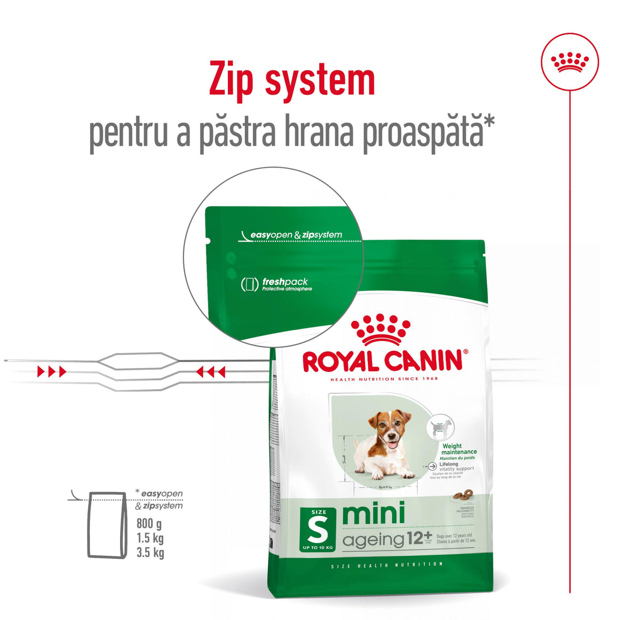 Royal Canin Royal Canin Mini Ageing 12+ - imagine 3