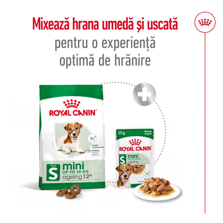 Royal Canin Royal Canin Mini Ageing 12+ - imagine 2