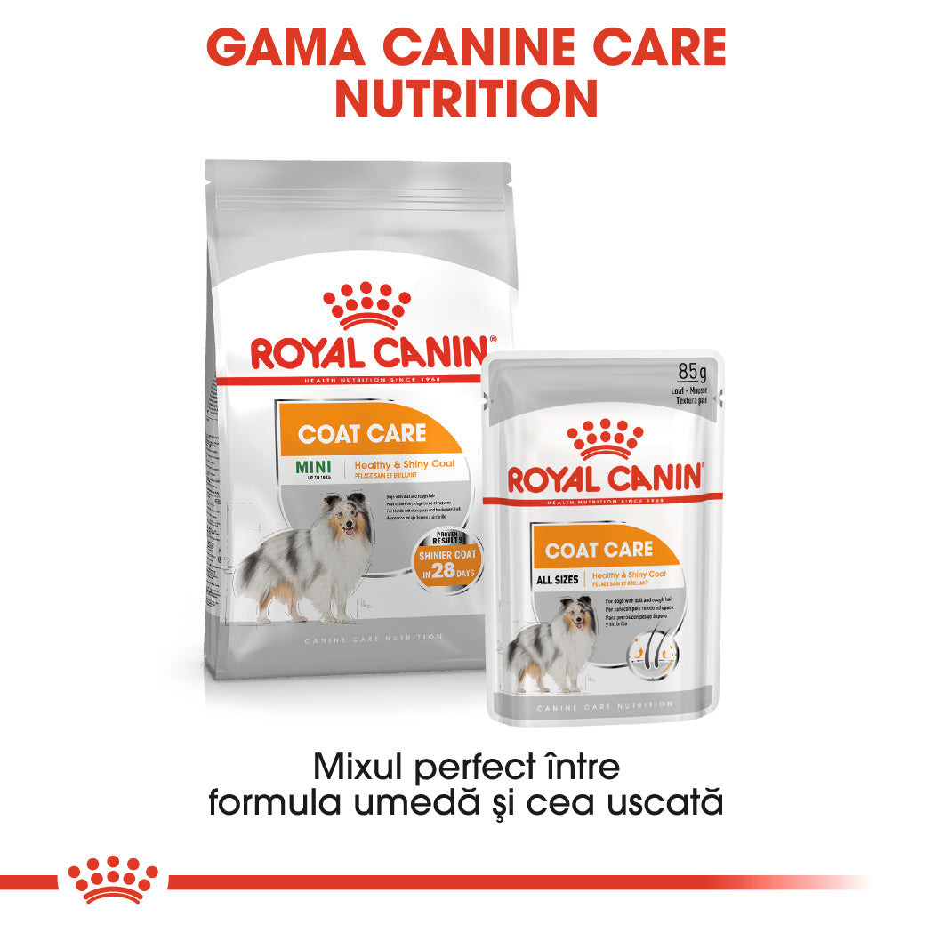 Royal Canin Royal Canin Mini Coat Care - imagine 3