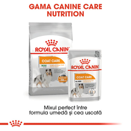 Royal Canin Royal Canin Mini Coat Care - imagine 3