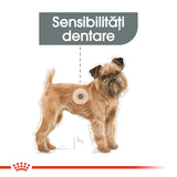 Royal Canin Royal Canin Mini Dental Care - imagine 3