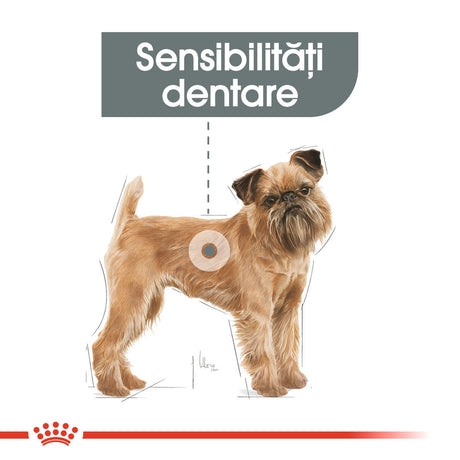 Royal Canin Royal Canin Mini Dental Care - imagine 3