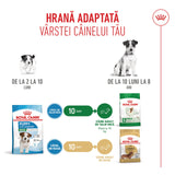 Royal Canin Royal Canin Mini Puppy - imagine 2