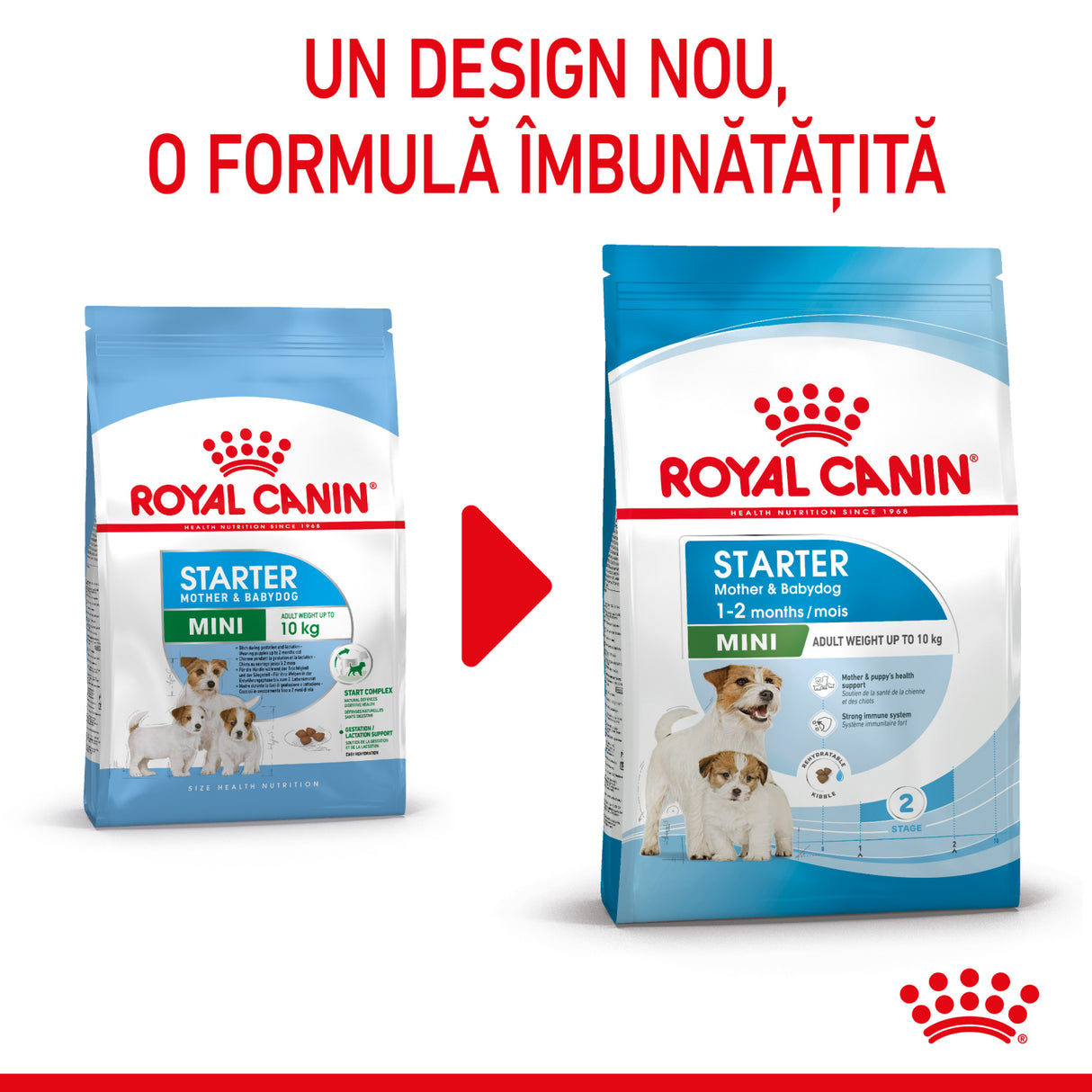 Royal Canin Royal Canin Mini Starter - imagine 2
