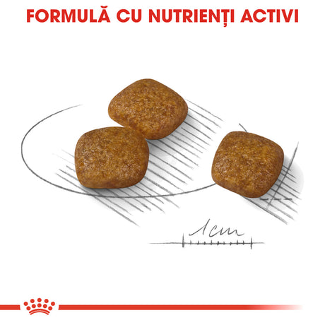 Royal Canin Royal Canin Mini Urinary Care - imagine 3