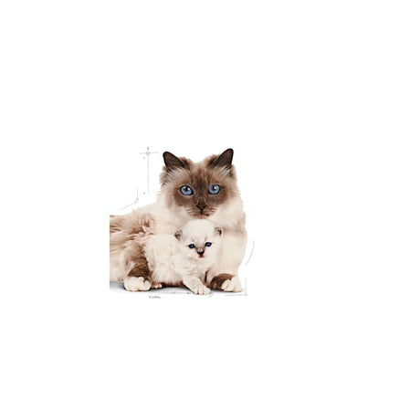 Royal Canin Royal Canin Mother&Babycat - imagine 3