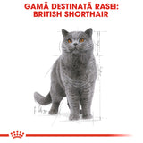 Royal Canin Royal Canin British Shorthair Adult Plic 85 G - imagine 3