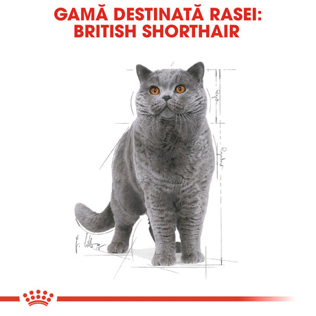 Royal Canin Royal Canin British Shorthair Adult Plic 85 G - imagine 3