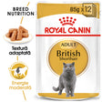 Royal Canin Royal Canin British Shorthair Adult Plic 85 G - imagine 1