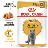 Royal Canin Royal Canin British Shorthair Adult Plic 85 G - imagine 1