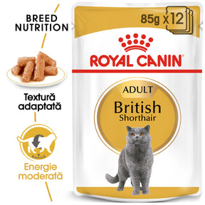 Royal Canin Royal Canin British Shorthair Adult Plic 85 G - imagine 1
