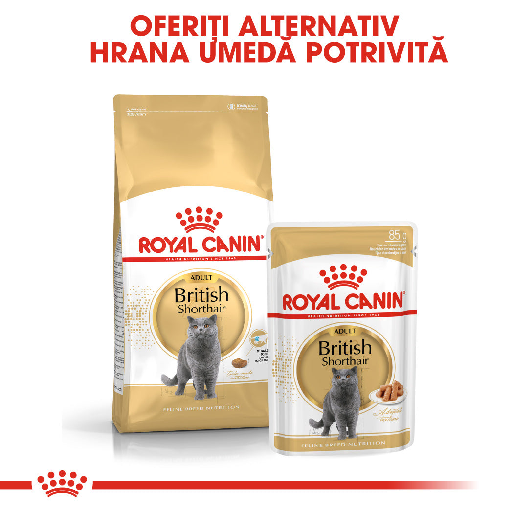 Royal Canin Royal Canin British Shorthair Adult Plic 85 G - imagine 2