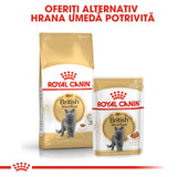 Royal Canin Royal Canin British Shorthair Adult Plic 85 G - imagine 2