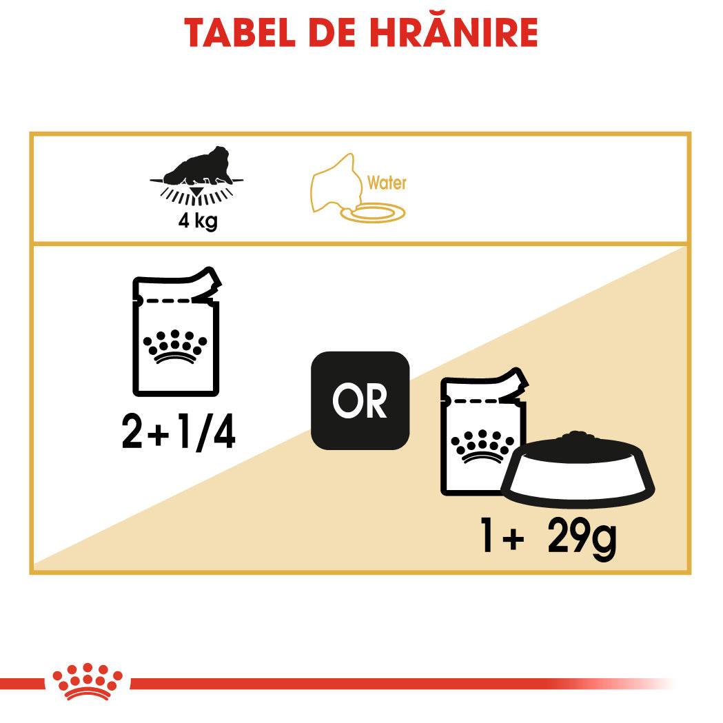 Royal Canin Persian Adult Plic 85 G