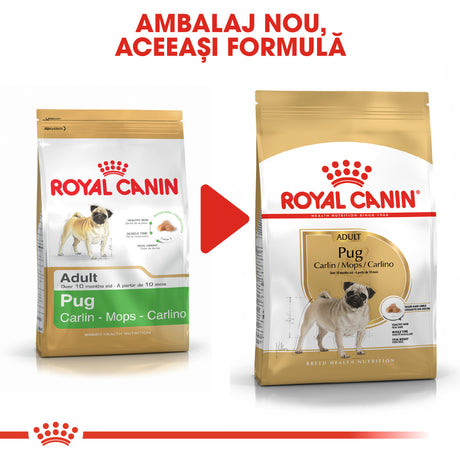 Royal Canin Royal Canin Pug Adult - imagine 3
