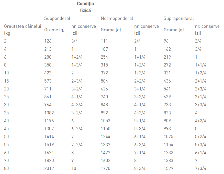 Royal Canin Renal Dog Conserva