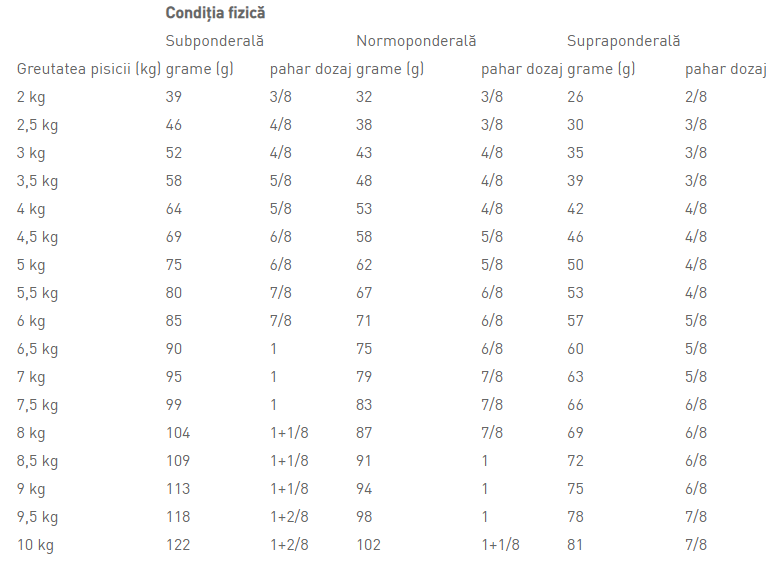 Royal Canin Renal Special Cat