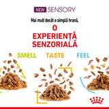 Royal Canin Royal Canin Sensory Mix Plic in Sos 12x 85 Gr - imagine 3
