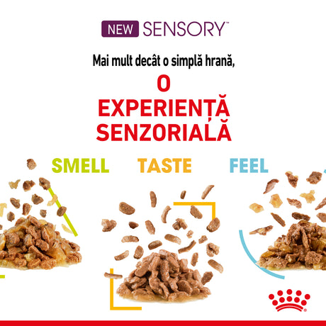 Royal Canin Royal Canin Sensory Mix Plic in Sos 12x 85 Gr - imagine 3