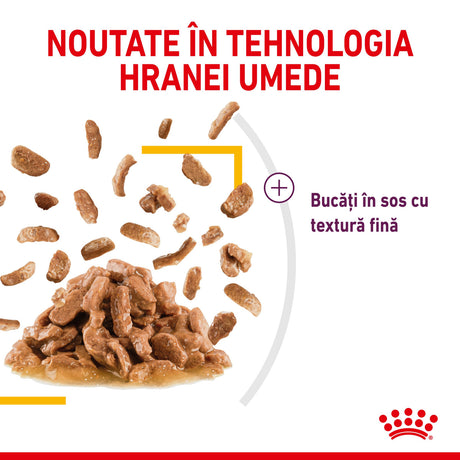 Royal Canin Royal Canin Sensory Taste Plic in Sos 85 Gr - imagine 2