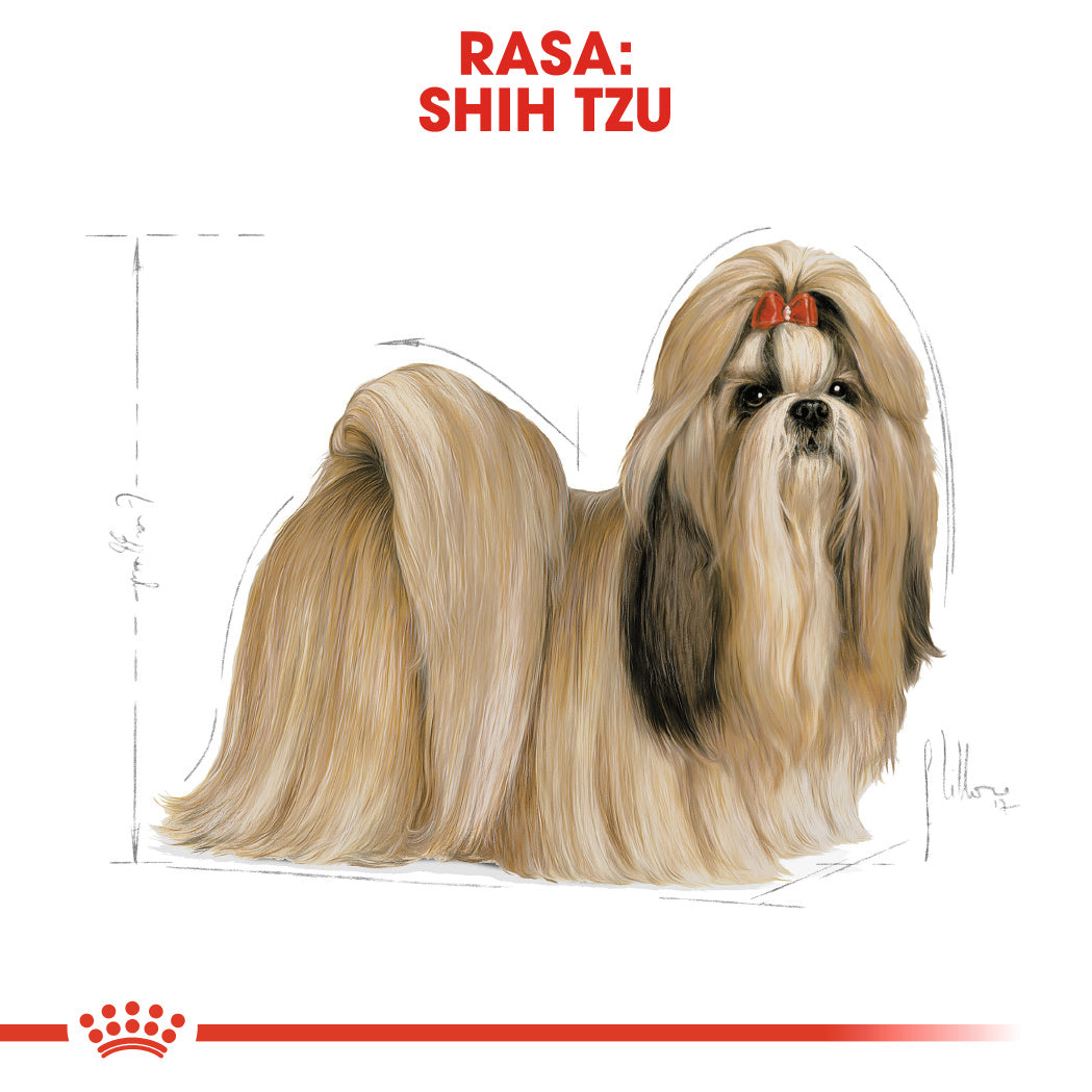 Royal Canin Royal Canin Shih Tzu Adult - imagine 3