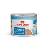 Royal Canin Royal Canin Starter Mousse Conserva - imagine 1
