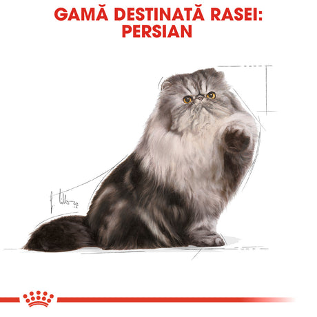 Royal Canin Royal Canin Persian Adult Plic 85 G - imagine 3