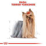 Royal Canin Royal Canin Yorkshire Terrier Plic 85 G - imagine 3