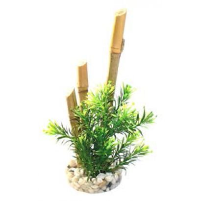 Sydeco Planta Bamboo Forest Plants