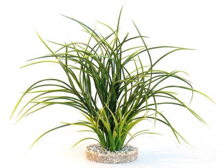 Sydeco Planta Fan Grass
