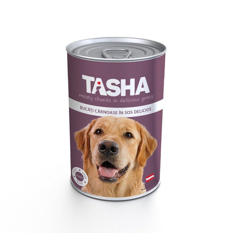 Tasha Dog Cons Ficat