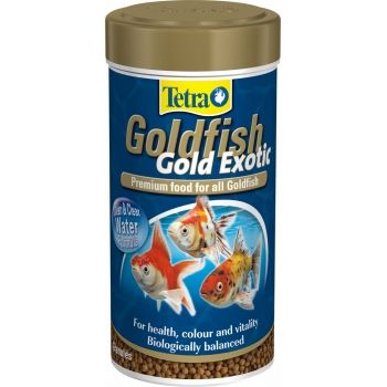 Tetra Goldfish Gold Luxury