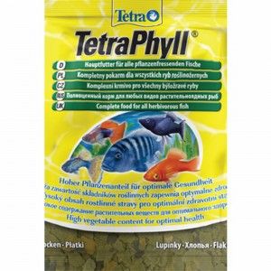 Tetra Phyll Plic