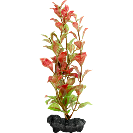 Tetra Planta Decoard Red Ludwigia