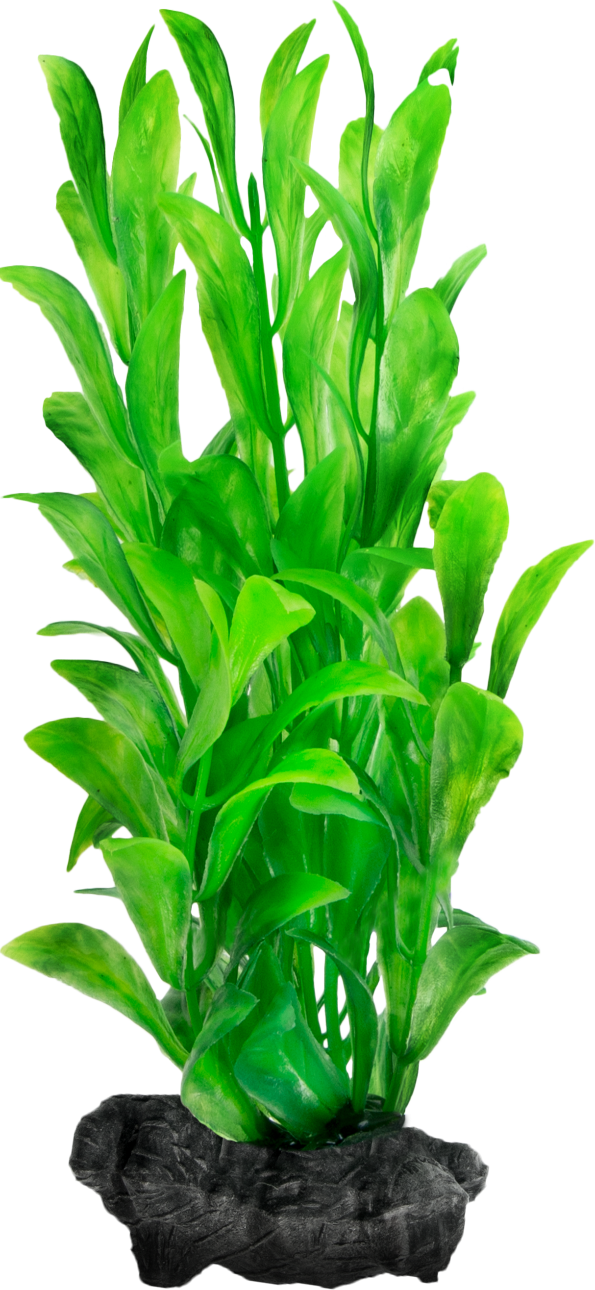 Tetra Planta Decoart Hygrophyla