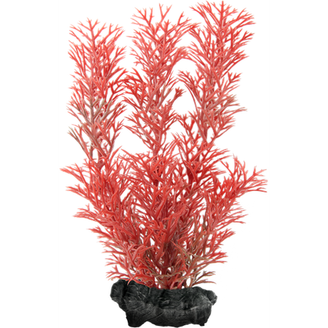 Tetra Planta Decoart Red Foxtail