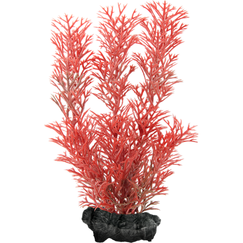 Tetra Planta Decoart Red Foxtail
