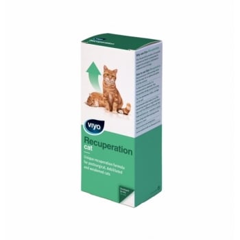 Viyo Viyo Recuperation Cat
